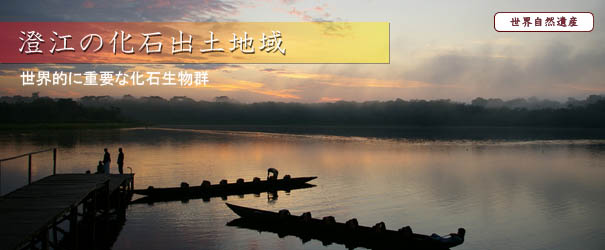 澄江の化石出土地域