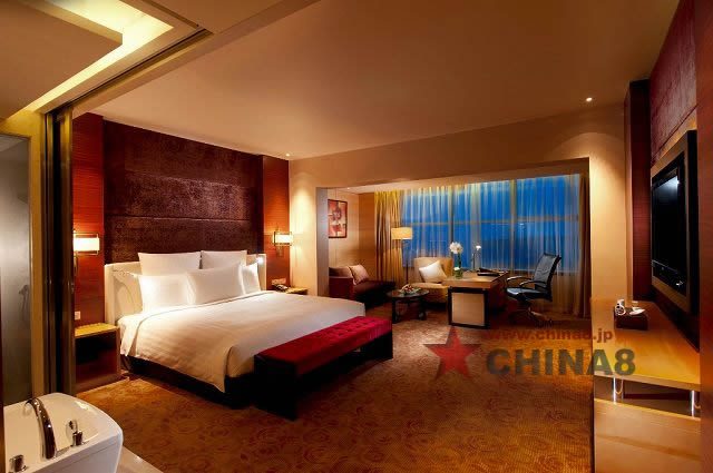 Hilton Guest Room (King T1)