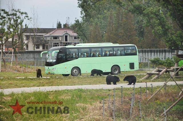 上海野生動物園　熊エリア