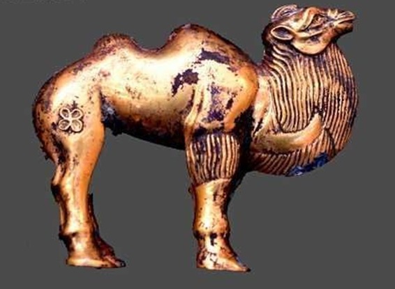 秦の始皇帝陵でまた大型副葬墓発見 貴重な「金ラクダ」が出土